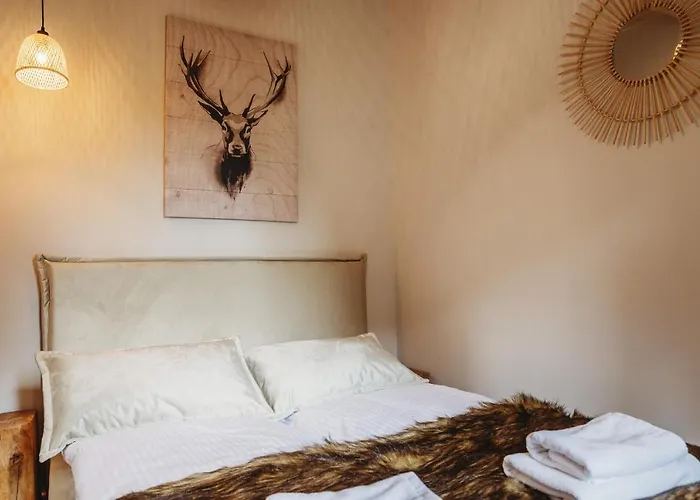 Osada Lesna - Z Basenem * Stare Miasto (Konin)